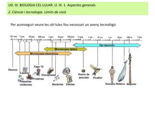 UD. III. BIOLOGIA CEL·LULAR. Ll. III. 1. Aspectes generals