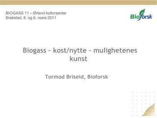 Biogass – kost/nytte – mulighetenes kunst