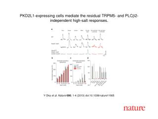 Y Oka et al. Nature 000 , 1 - 4 (2013) doi:10.1038/nature 11905