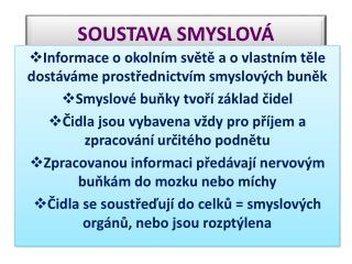 SOUSTAVA SMYSLOVÁ