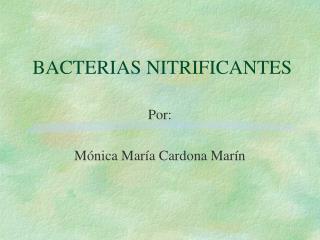 BACTERIAS NITRIFICANTES