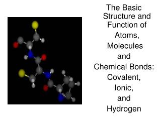 The Basic Structure and Function of Atoms, Molecules and Chemical Bonds: Covalent, Ionic, and Hydrogen