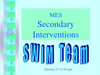 MES Secondary Interventions