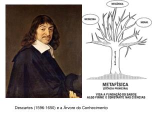 Descartes (1596-1650) e a Árvore do Conhecimento