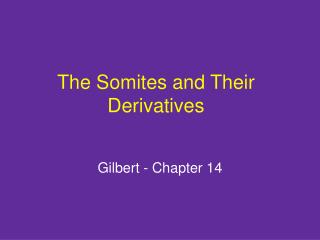 The Somites and Their Derivatives