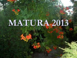 MATURA 2013