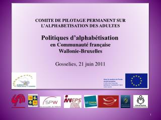 COMITE DE PILOTAGE PERMANENT SUR L’ALPHABETISATION DES ADULTES Politiques d’alphabétisation