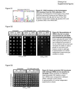 Cheng et al. Supplemental figures