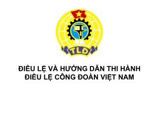 ĐIỀU LỆ VÀ HƯỚNG DẪN THI HÀNH ĐIỀU LỆ CÔNG ĐOÀN VIỆT NAM