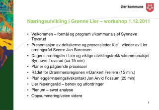 Næringsutvikling i Grønne Lier – workshop 1.12.2011