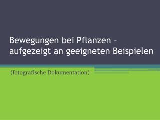 Bewegungen bei Pflanzen – aufgezeigt an geeigneten Beispielen