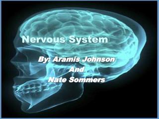 Nervous System