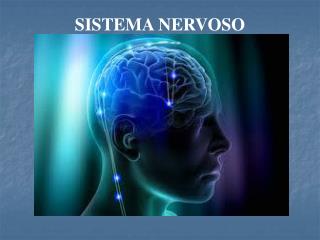 SISTEMA NERVOSO