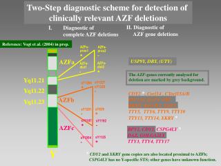 Two-Step diagnostic scheme for detection of clinically relevant AZF deletions