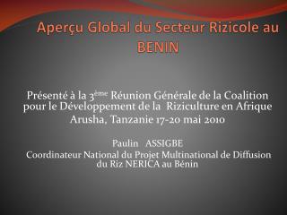 Aperçu Global du Secteur Rizicole au BENIN