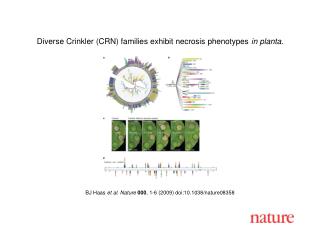 BJ Haas et al. Nature 000 , 1 - 6 (2009) doi:10.1038/nature08 358