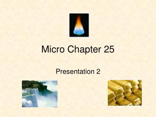 Micro Chapter 25