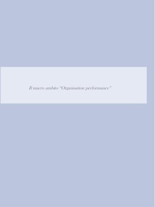 Il macro ambito “Organisation performance”