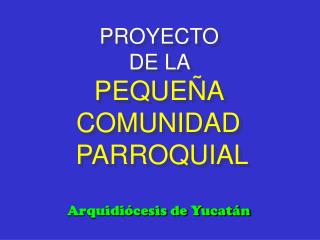 PROYECTO DE LA PEQUEÑA COMUNIDAD PARROQUIAL