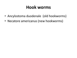 Hook worms