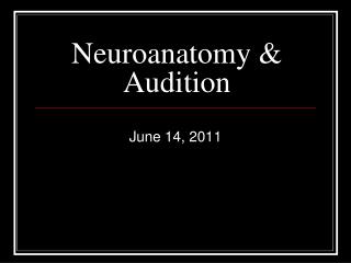 Neuroanatomy &amp; Audition