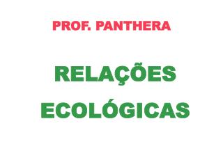 PROF. PANTHERA