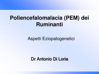 Dr Antonio Di Loria