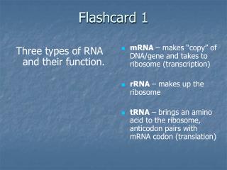Flashcard 1