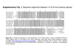 Supplementary Fig. 1. Sequence alignment between 14-3-3s from diverse species