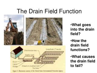 The Drain Field Function