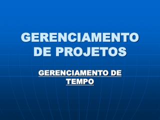 GERENCIAMENTO DE PROJETOS