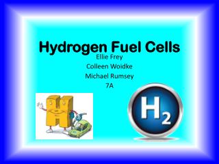 Hydrogen Fuel Cells