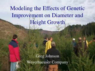 Modeling the Effects of Genetic Improvement on Diameter and Height Growth