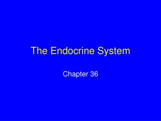 The Endocrine System