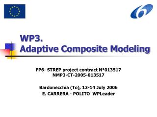 WP3. Adaptive Composite Modeling