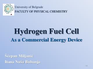 Hydrogen Fuel Cell