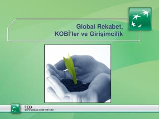 Global Rekabet, KOBİ’ ler ve Girişimcilik