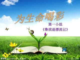 第一小组 《 鲁滨逊漂流记 》