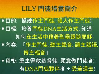 LILY 門徒培養簡介