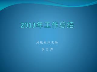 2013 年工作总结