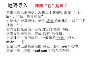 它出生在人烟稀少、海拔三千的秦岭 南麓 （ nán lù ），拒做“酒肉和尚”。 它隐逸在云雾缭绕、烟波 浩瀚 的山林间，成了“竹林隐士”。 它喜爱四处流浪，没有固定的 栖息 场所。