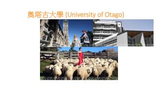 奧塔古大學 (University of Otago )