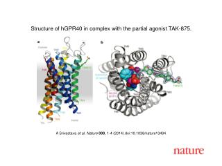 A Srivastava et al. Nature 000 , 1-4 (2014) doi:10.1038/nature13494