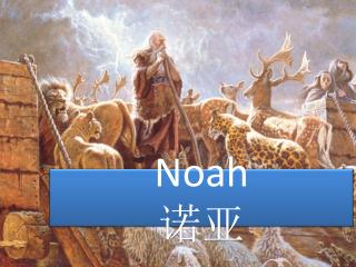 Noah 诺亚
