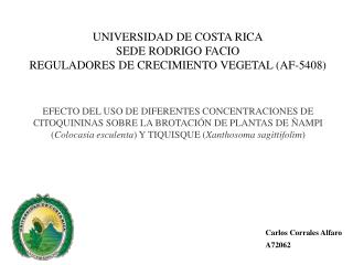 UNIVERSIDAD DE COSTA RICA SEDE RODRIGO FACIO REGULADORES DE CRECIMIENTO VEGETAL (AF-5408)