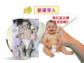 我们是从哪里来的呢 ?