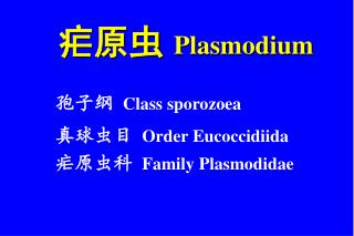 疟原虫 Plasmodium