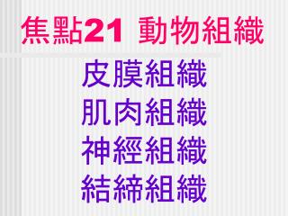 焦點 21 動物組織