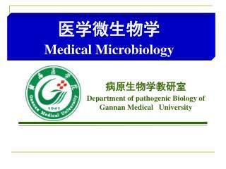 病原生物学教研室 Department of pathogenic Biology of Gannan Medical University