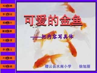 缙云县水南小学 徐旭丽